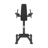 Spirit Leg Raise/Dip
